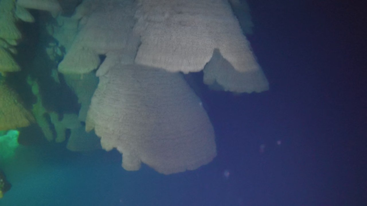 hells bells cenote dive