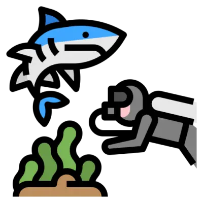 Image for choice number 4