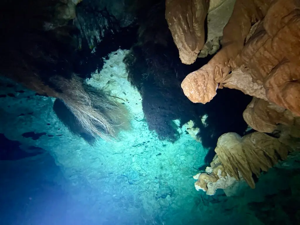 Limestone stalactites inside a cenote cavern lit by a dive light