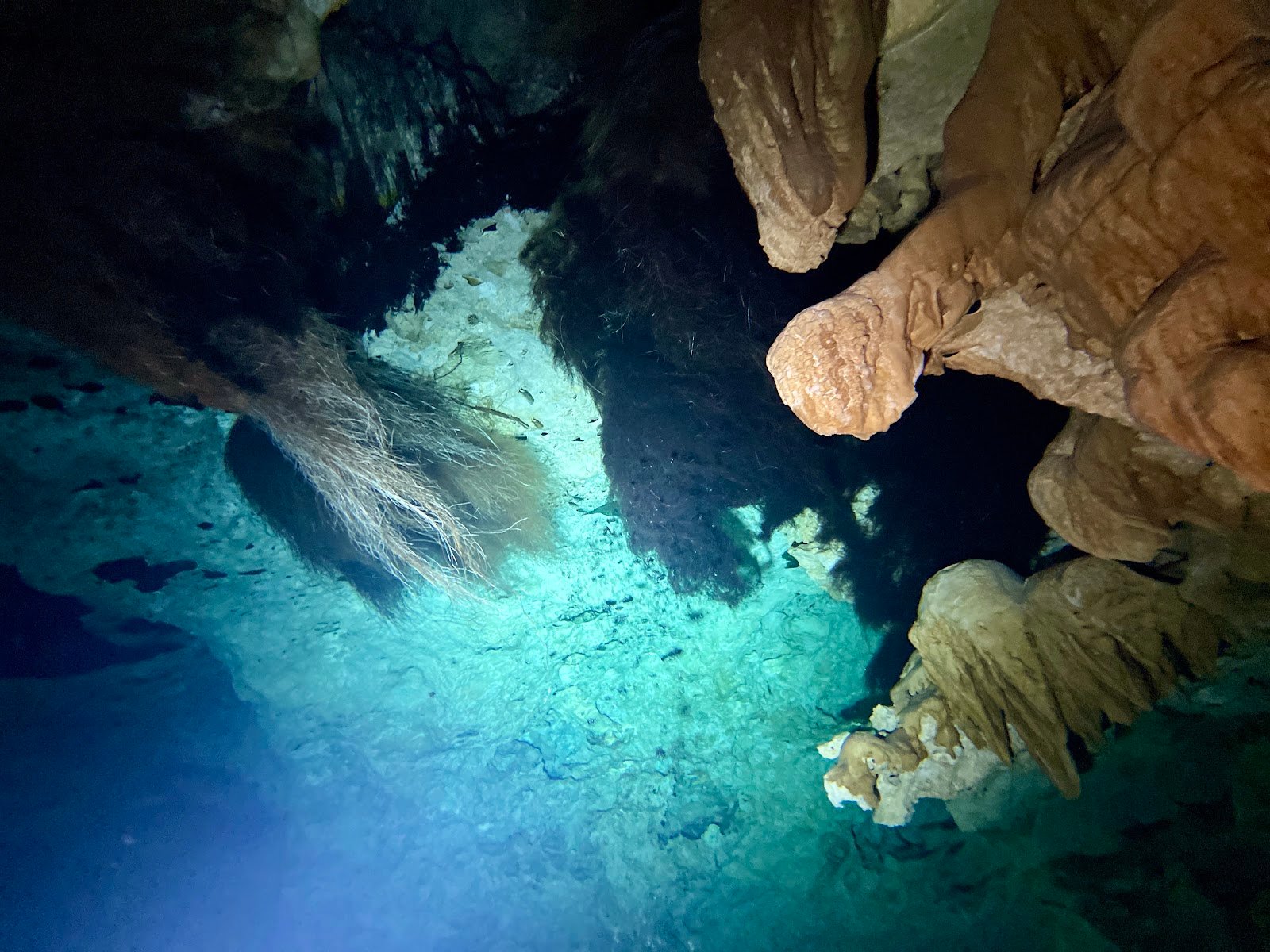 Los 10 Cenotes Más Hermosos Cerca de Playa del Carmen: Guía para Buzos 1 Estalactitas de piedra caliza en una caverna de cenote