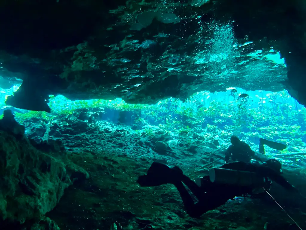 Your First Cenote Dive in Playa del Carmen: What to Expect & How to Prepare 8 Diver silhouetted at the sunlit entrance of a cenote cavern in the Riviera Maya