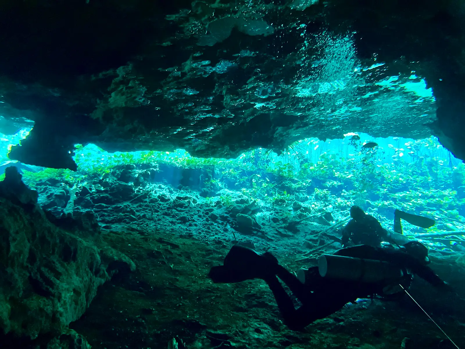Diver silhouetted at the sunlit entrance of a cenote cavern in the Riviera Maya