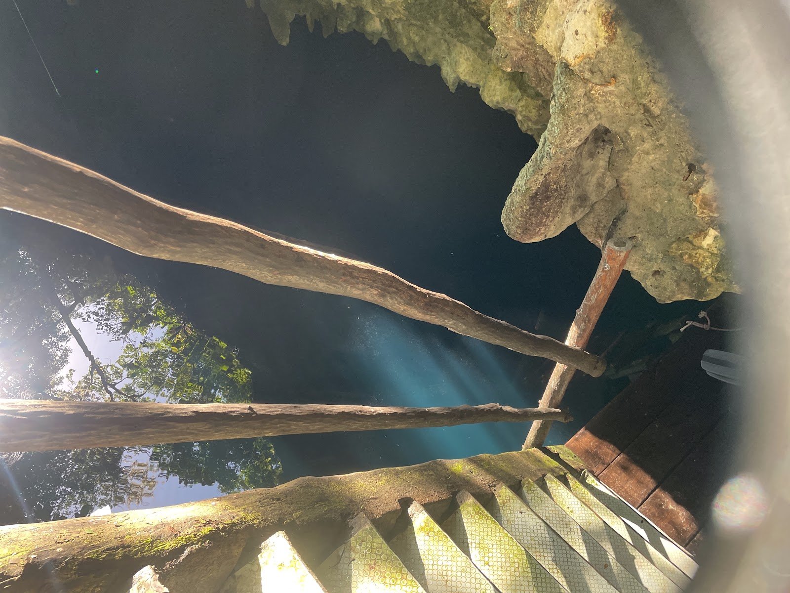 Your First Cenote Dive in Playa del Carmen: What to Expect & How to Prepare 1 Looking up from underwater at the wooden entry stairs of a cenote