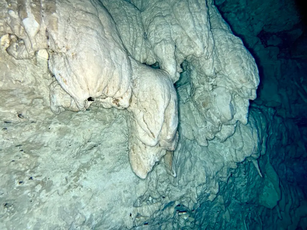 Massive flowstone formations underwater in a deep Riviera Maya cenote