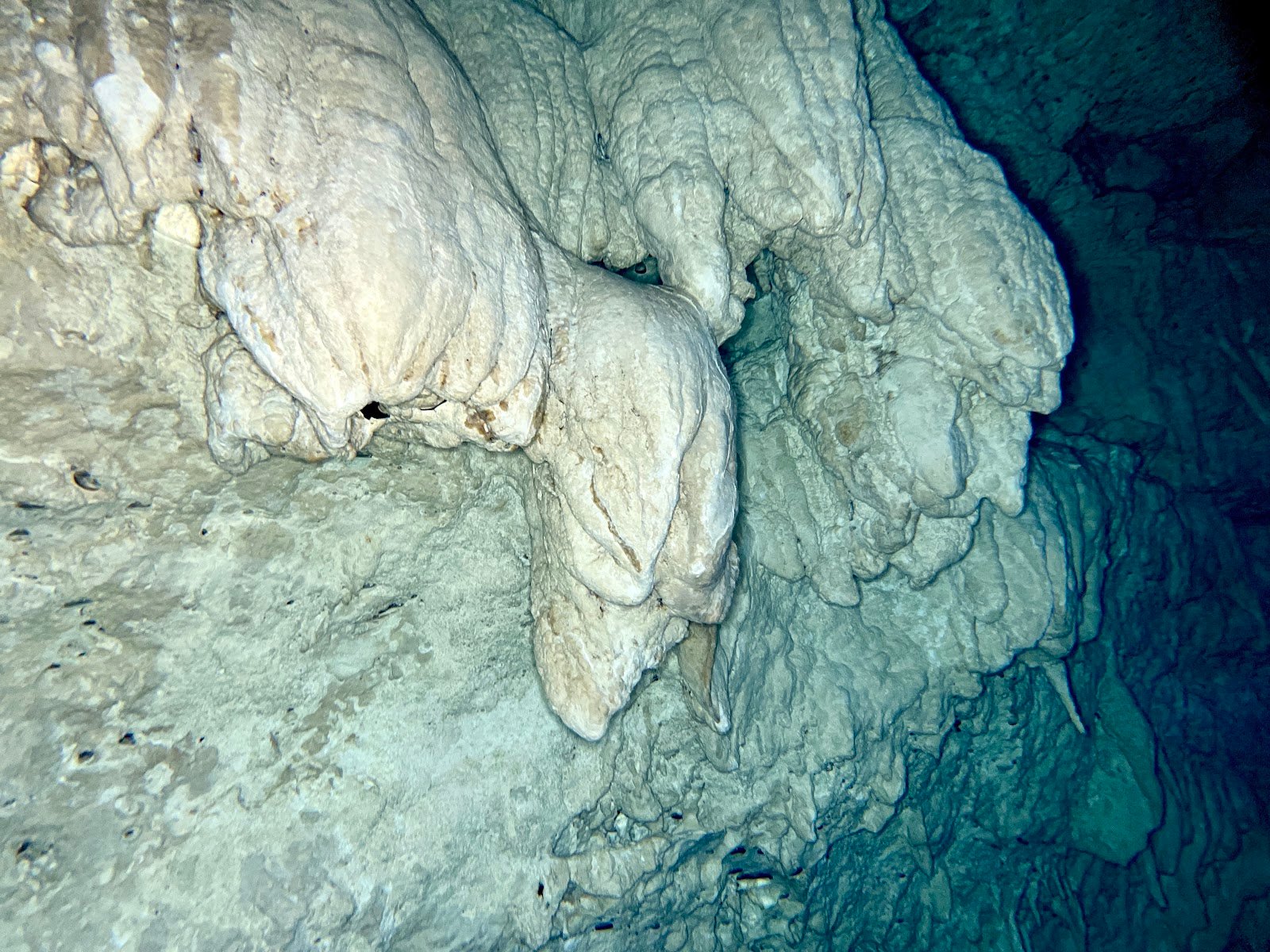 Los 10 Cenotes Más Hermosos Cerca de Playa del Carmen: Guía para Buzos 3 Formaciones en el Cenote El Pit, Riviera Maya