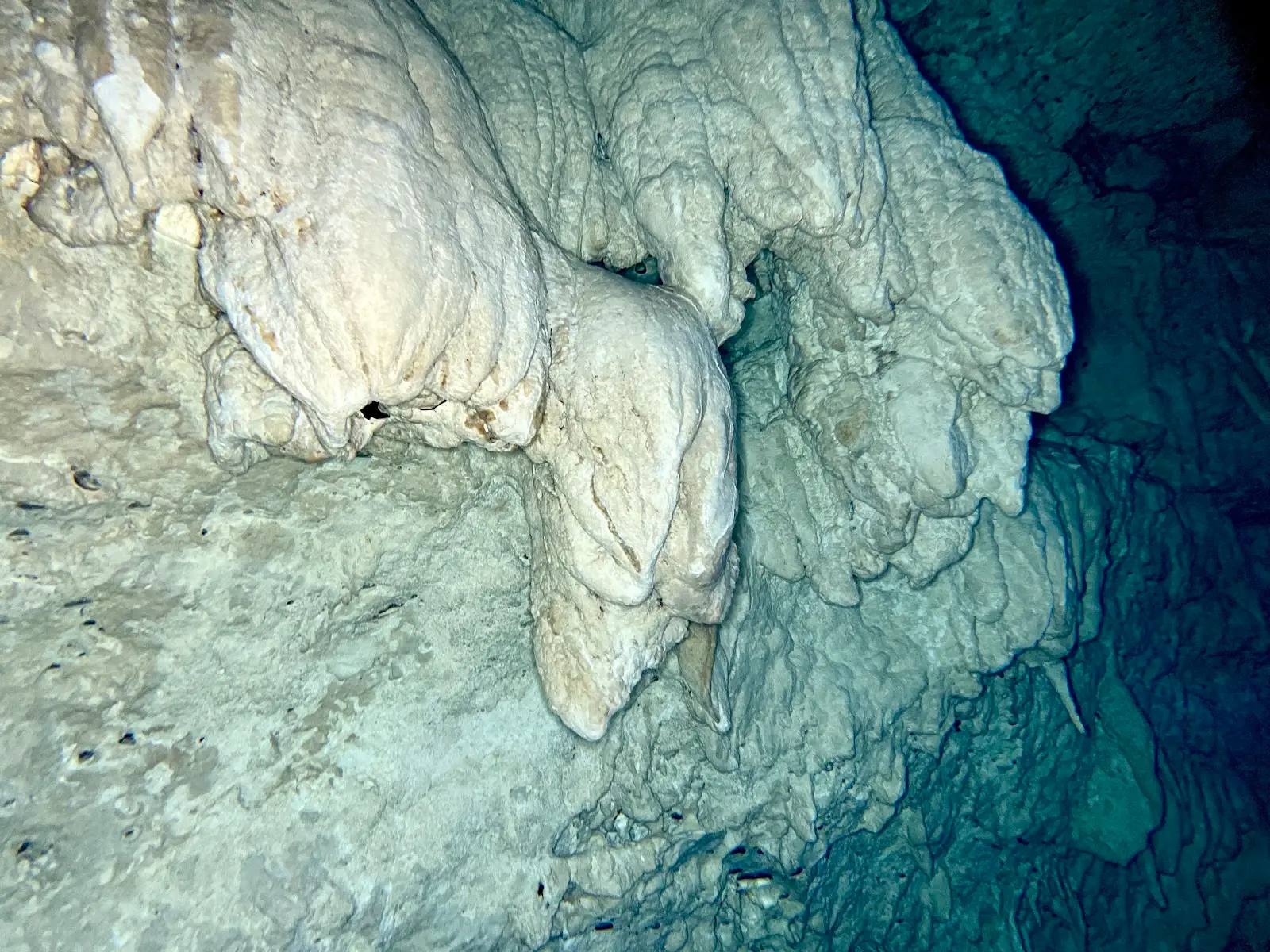10 Most Beautiful Cenotes Near Playa del Carmen: A Diver’s Guide 4 Massive flowstone formations underwater in a deep Riviera Maya cenote