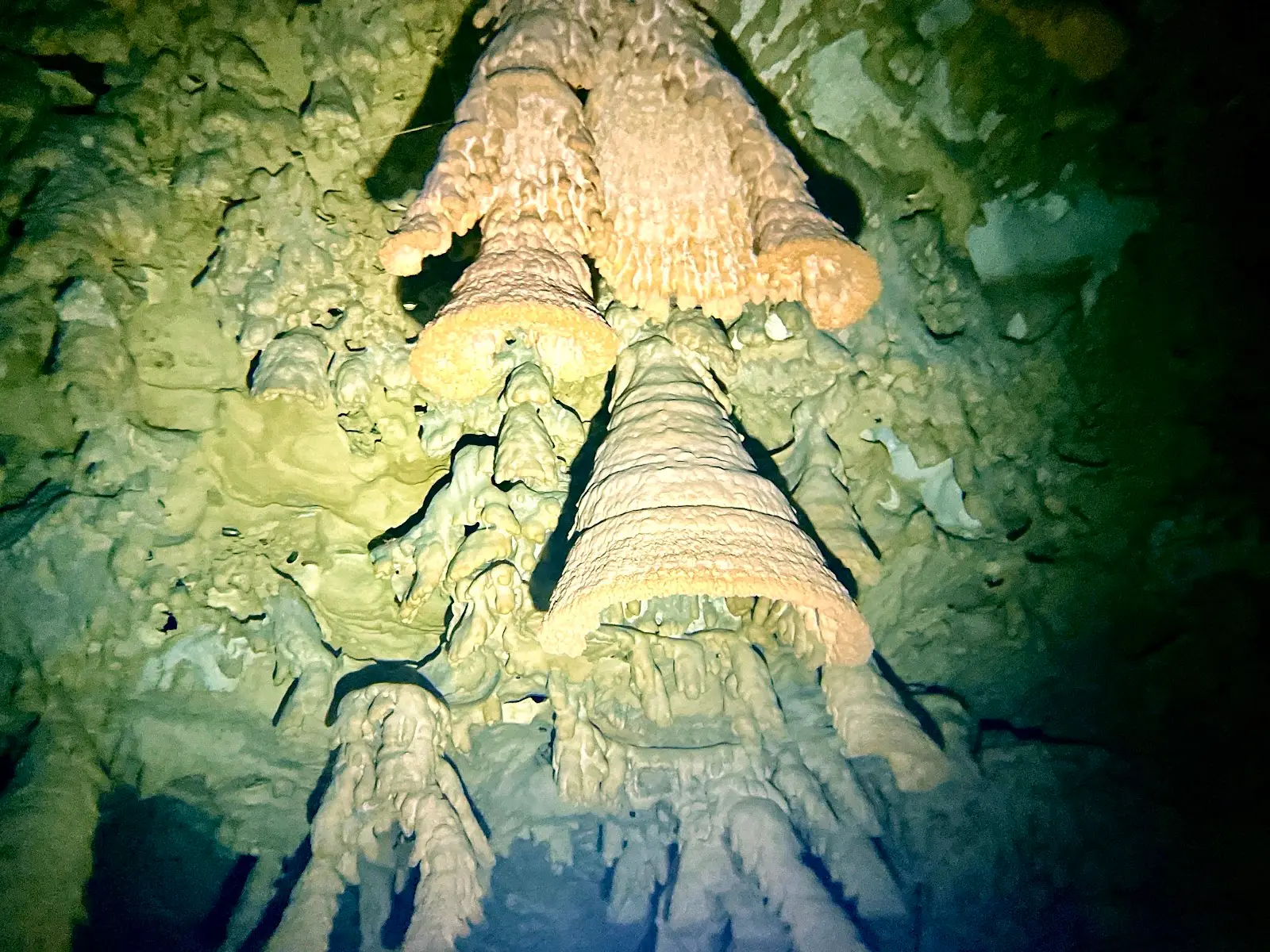 Bell-shaped limestone formations seen on a guided cenote dive