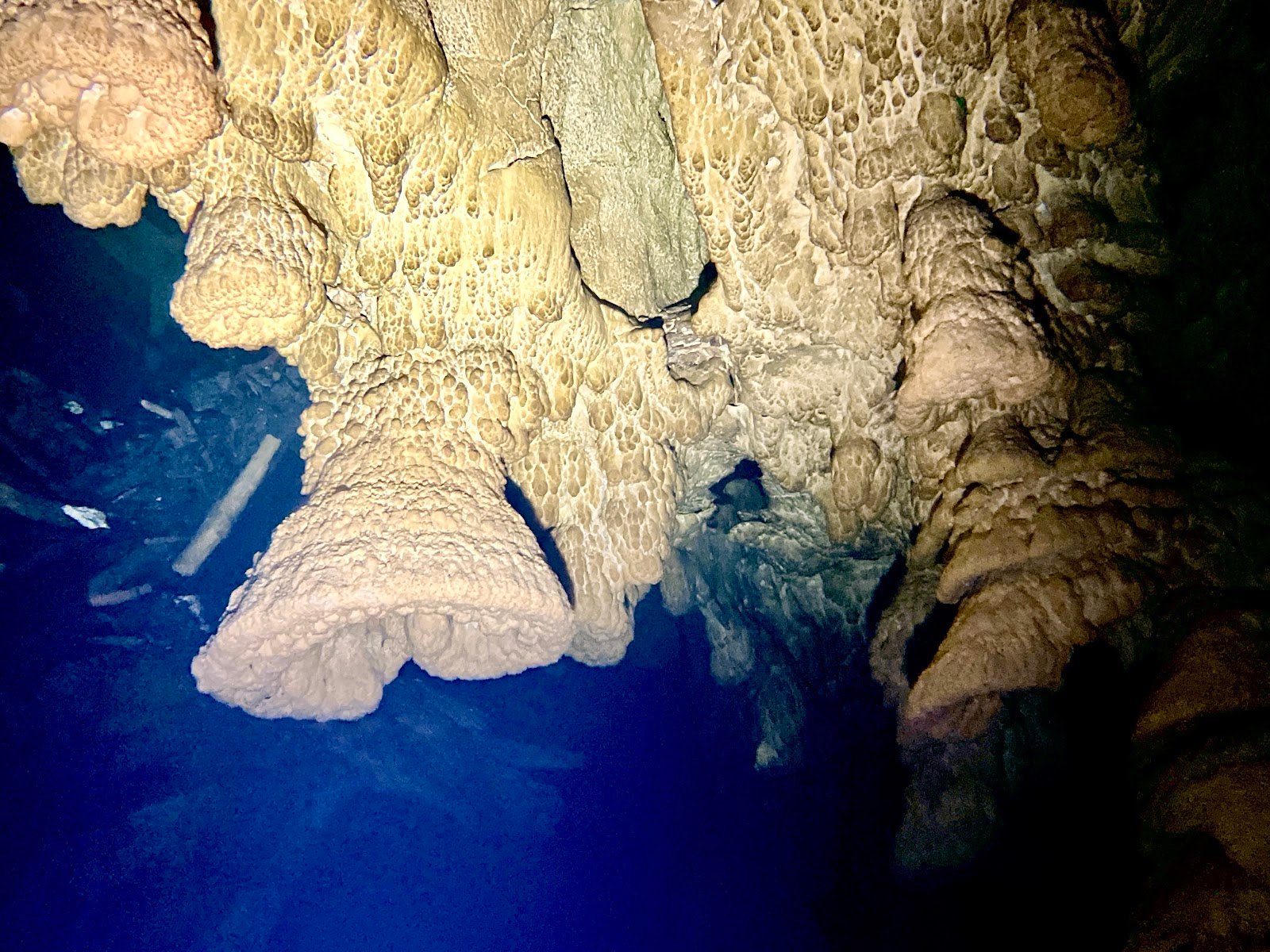 Los 10 Cenotes Más Hermosos Cerca de Playa del Carmen: Guía para Buzos 4 Formaciones Hells Bells en el Cenote Zapote
