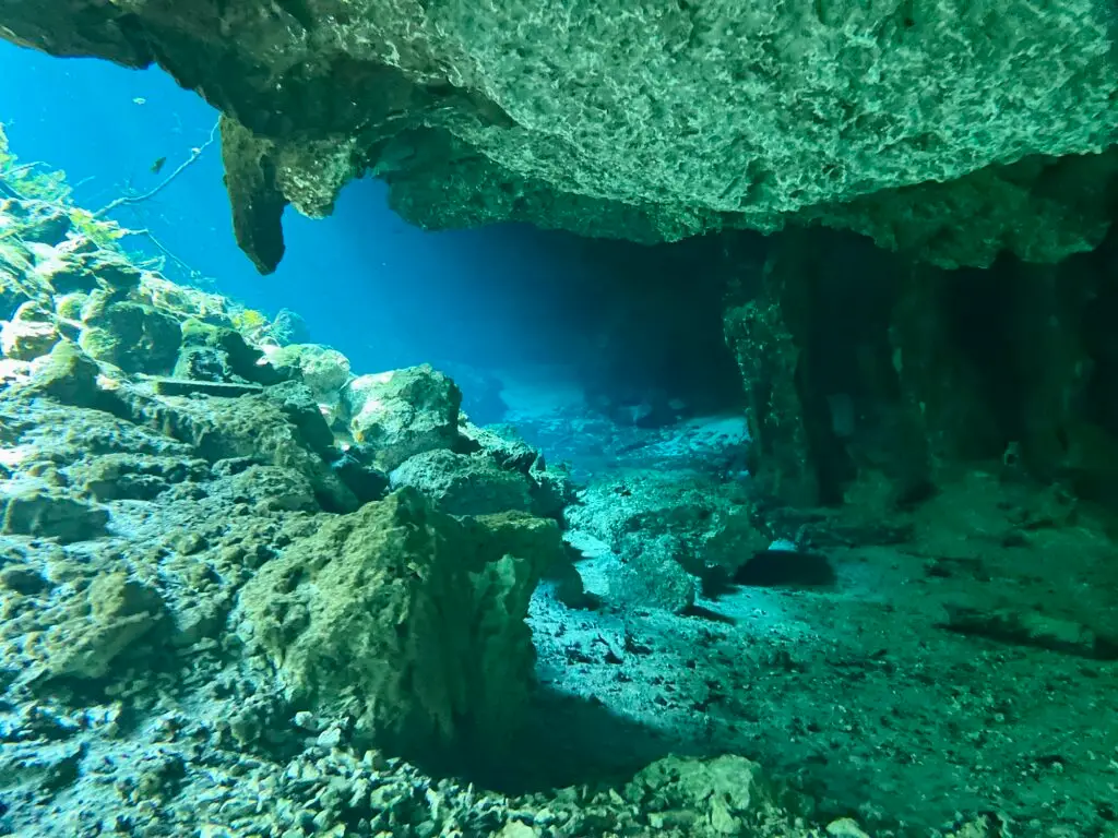 Blue water at the entrance of a cenote cavern
