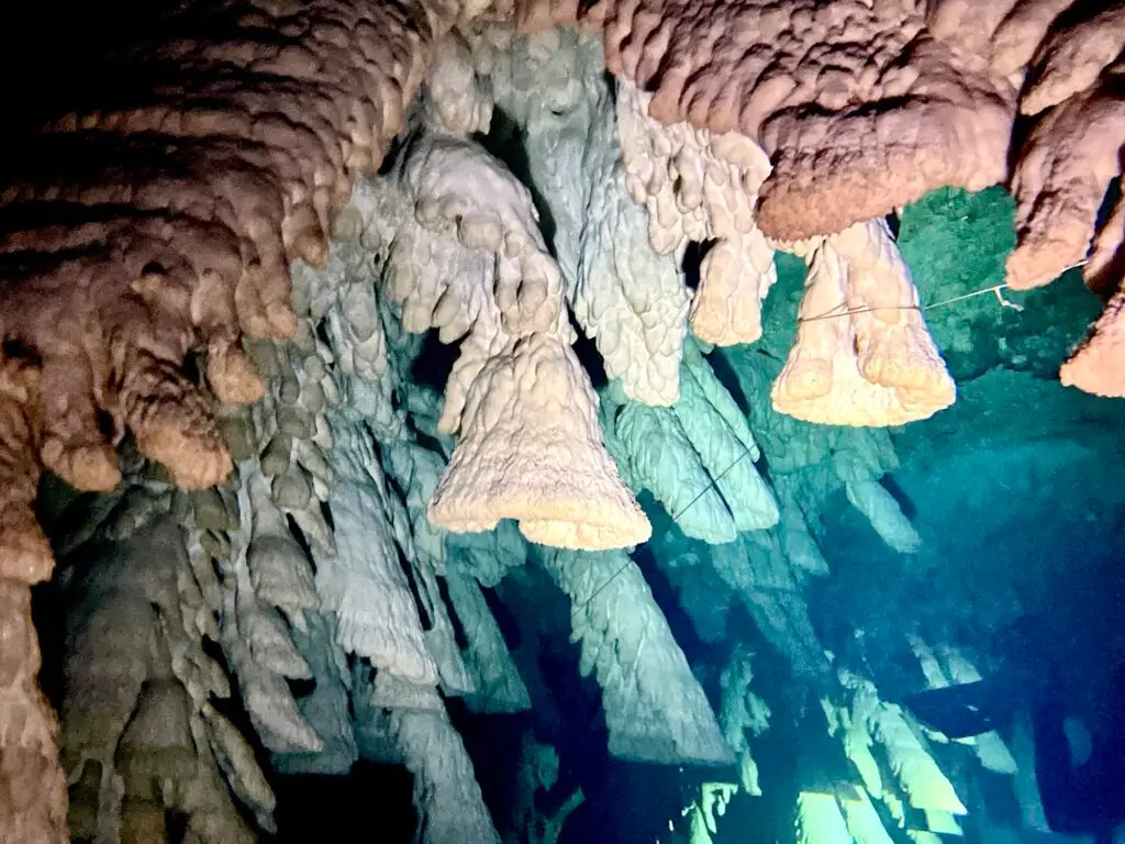 Hells Bells formations in Cenote Zapote with a diver below